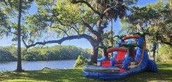 IMG 2451 1713214379 Home
