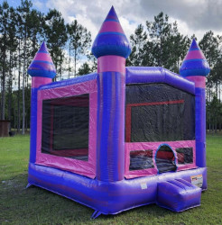 IMG 6306 1732491304 PURPLISH BOUNCE HOUSE