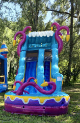 15’ MYSTERIOUS JUNGLE WATER SLIDE 15’ MYSTERIOUS JUNGLE WATER SLIDE